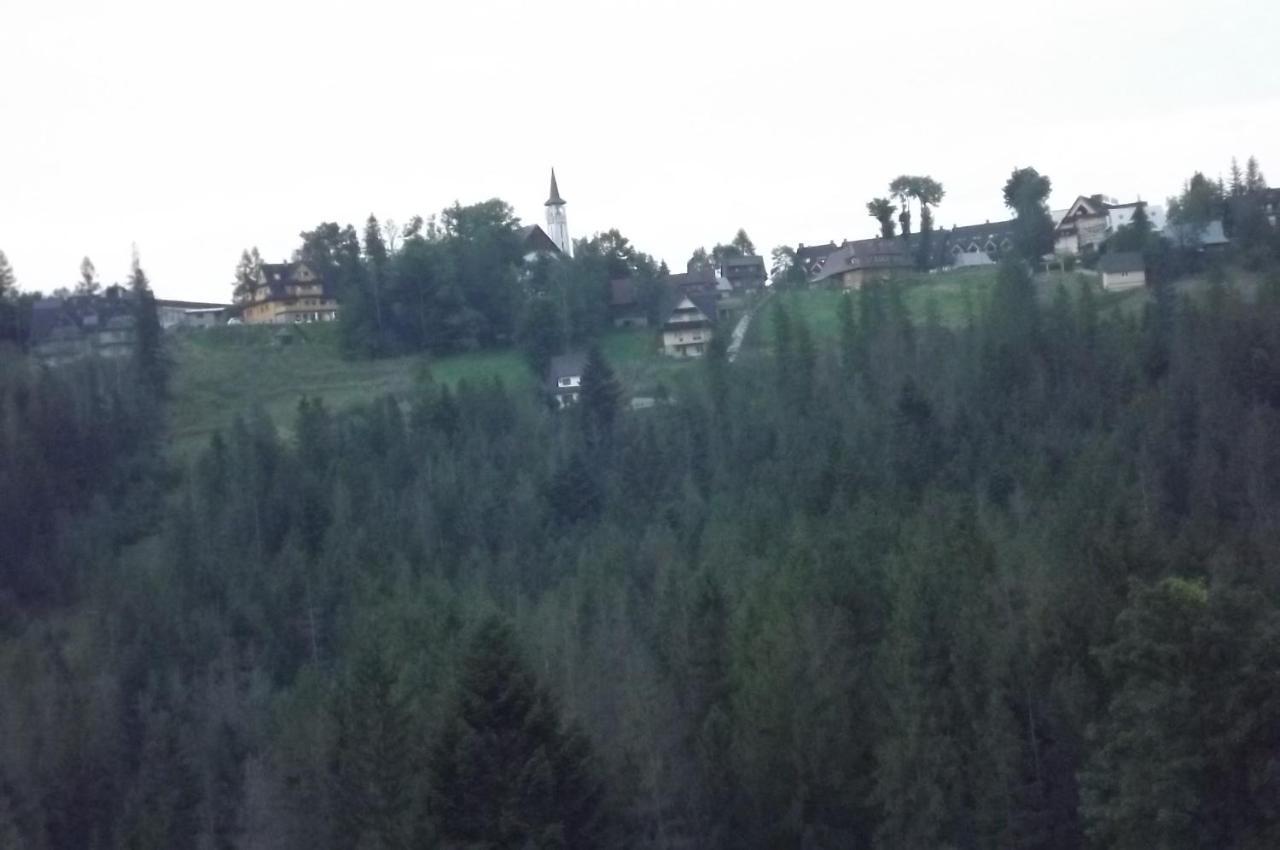 Prymulka Hotel Zakopane Buitenkant foto